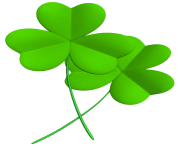 Transparent Shamrocks PNG Clipart Picture