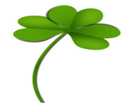 Shamrock Clover PNG Picture