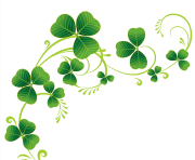 Transparent Shamrocks Decor PNG Clipart