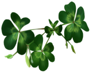 Irish Shamrocks PNG Clipart