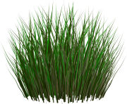 grass png 27 green