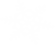 white snowflake png ice crystal 1