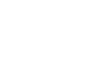 white snowflake png 15