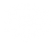 white snowflake png 5