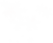 white snowflake png 33