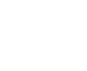 white snowflake png 3