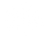 white snowflake png 4