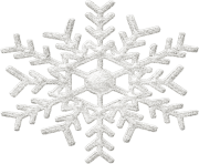 gray white snowflake png transparent 1