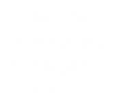 white snowflake png 1