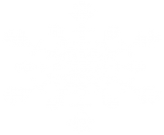 white snowflake png ice crystal 5