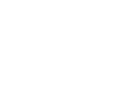 white snowflake png ice crystal 6