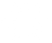 white snowflake png 12