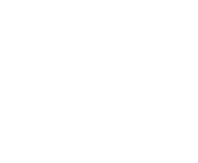 white snowflake png 2