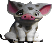 Moana Pua transparent PNG