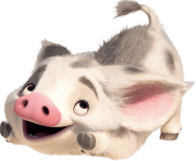 pua pig png4