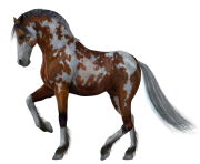 horse png Eohippus 1