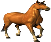 horse png Eohippus 9