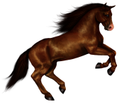 horse png Eohippus 7