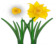 flowers june clipart