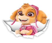 skye paw patrol png 10