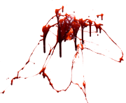 blood transparent background png 5