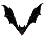 bats png img 11